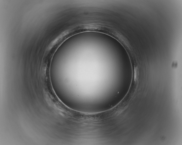 X0000112460723200908171202
