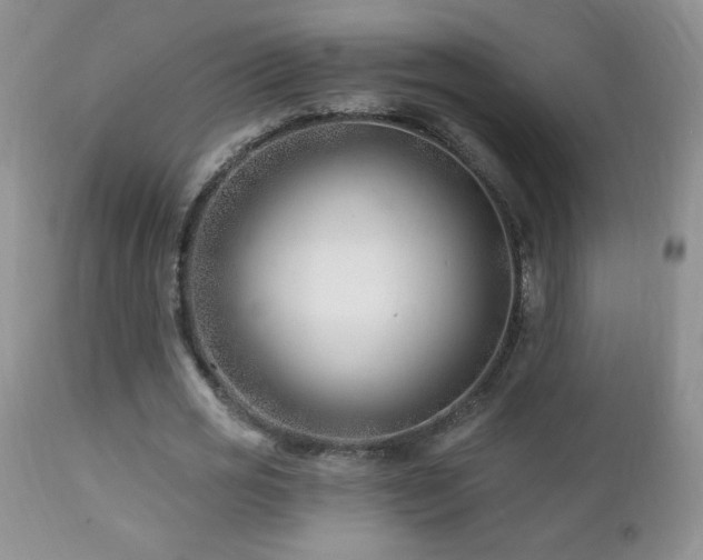 X0000112460725200908171202