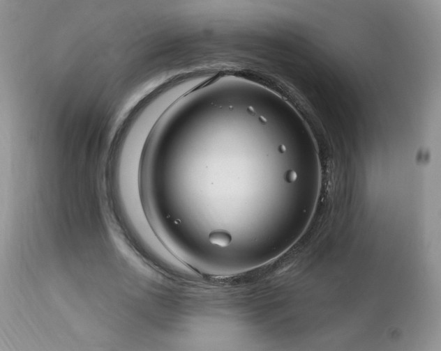 X0000112460726200908171202