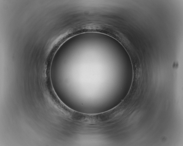 X0000112460727200908171202