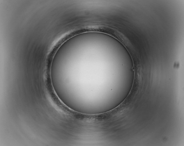 X0000112460728200908171202