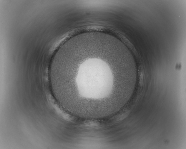 X0000112460729200908171202
