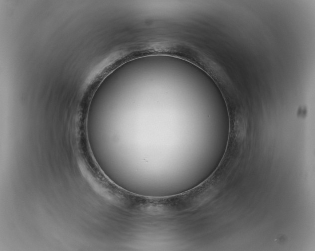 X0000112460730200908171202