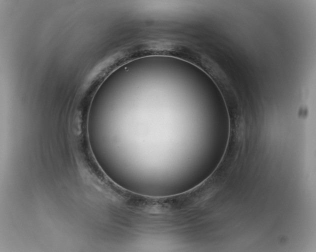 X0000112460731200908171202