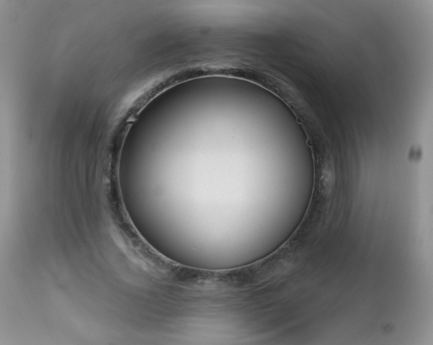 X0000112460732200908171202