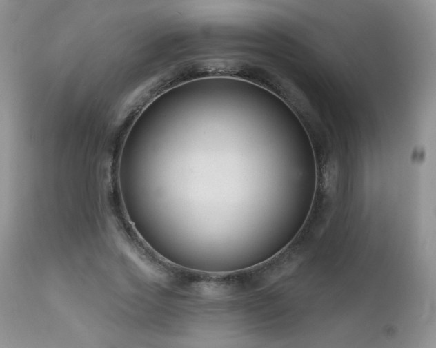 X0000112460733200908171202