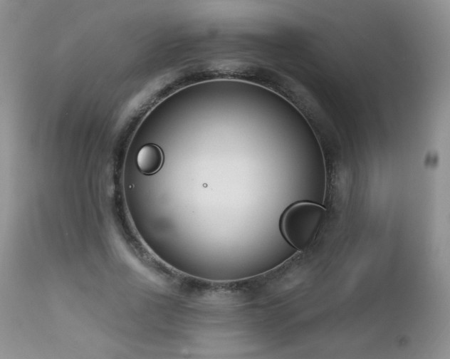 X0000112460734200908171202