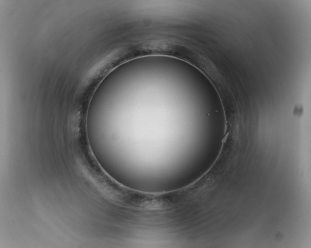 X0000112460735200908171202