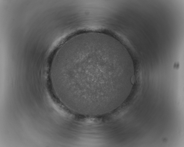 X0000112460736200908171202