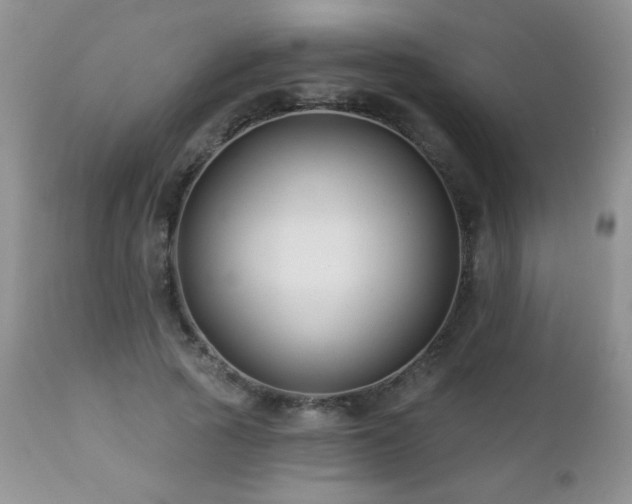 X0000112460737200908171202