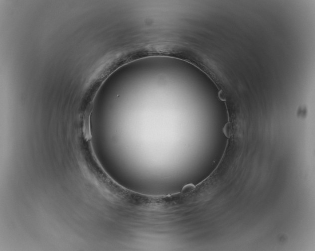 X0000112460738200908171202