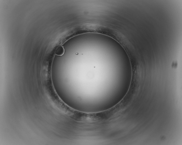X0000112460739200908171202