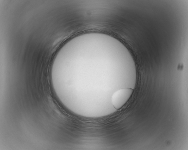 X0000112460740200908171202