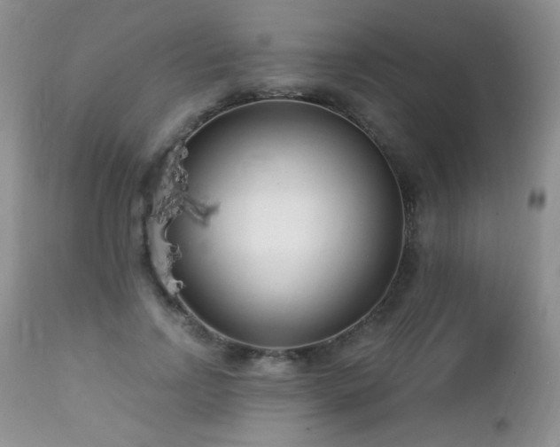 X0000112460742200908171202