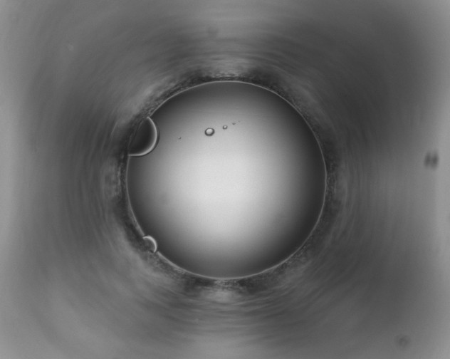 X0000112460743200908171202