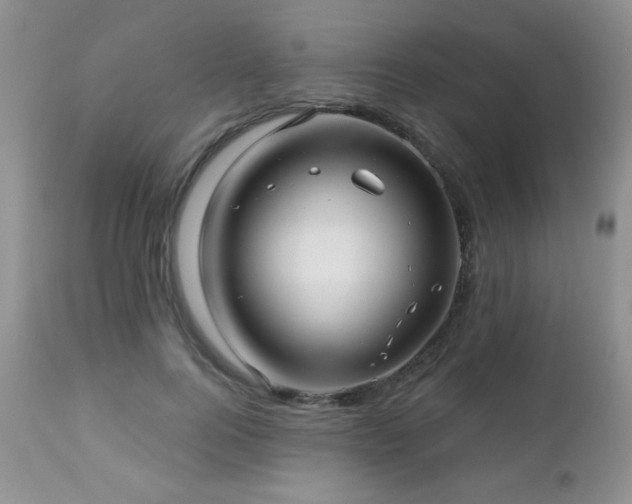 X0000112460744200908171203
