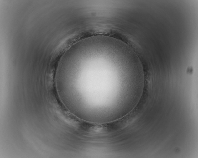 X0000112460745200908171203