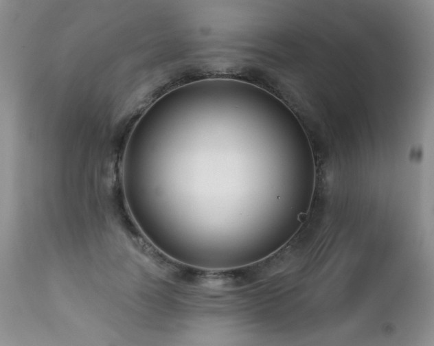 X0000112460746200908171203