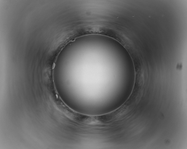 X0000112460747200908171203
