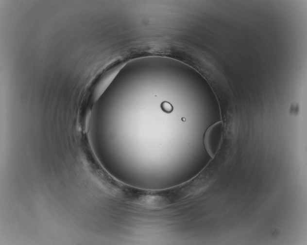 X0000112460748200908171203