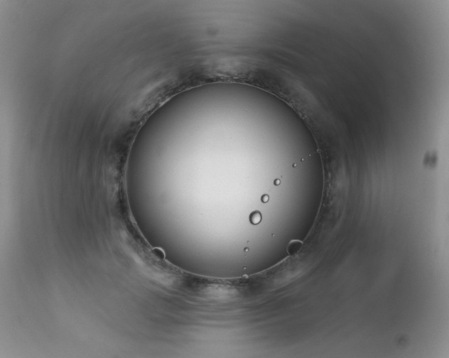 X0000112460749200908171203