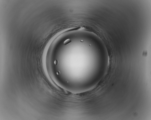 X0000112460750200908171203