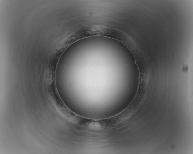 X0000112460751200908171203