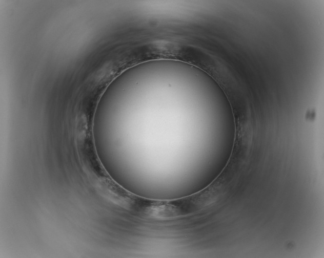 X0000112460752200908171203