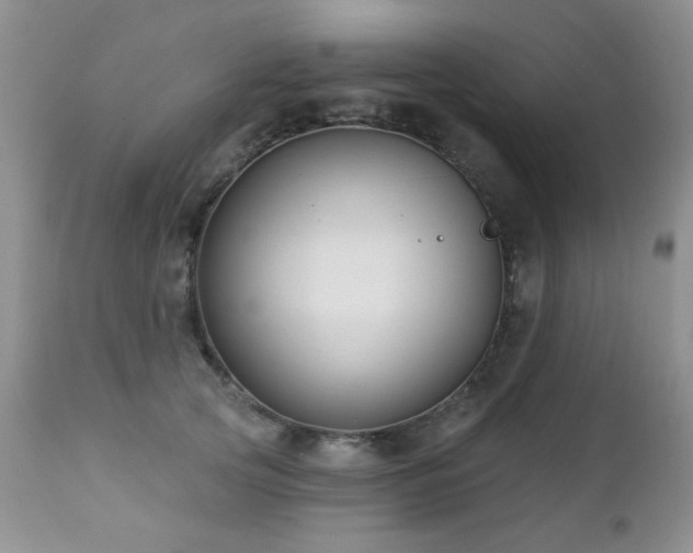 X0000112460753200908171203