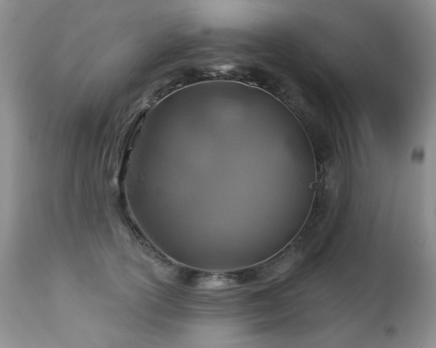X0000112460754200908171203