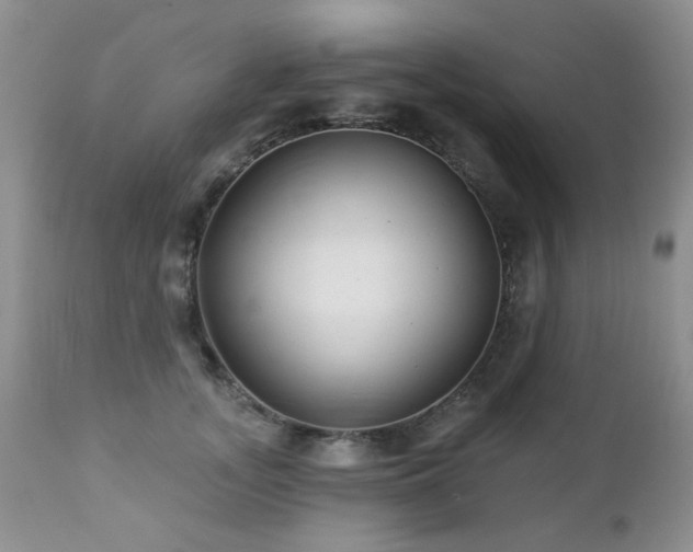 X0000112460755200908171203