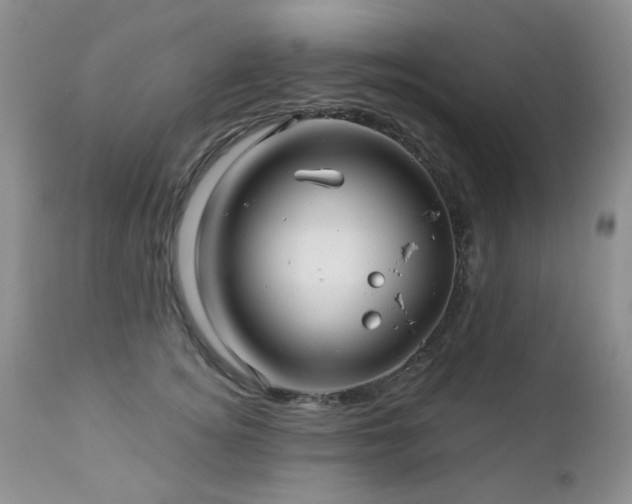 X0000112460756200908171203