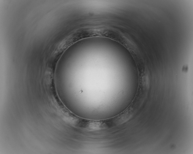 X0000112460757200908171203
