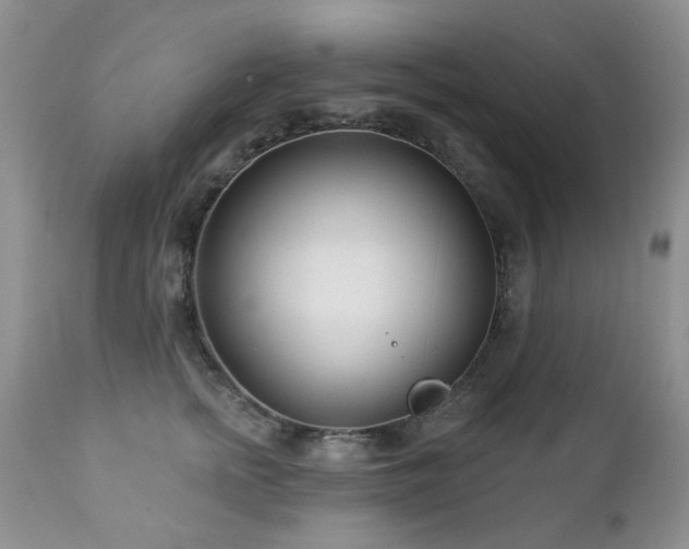 X0000112460758200908171203