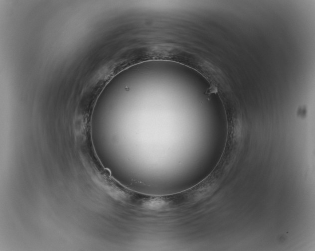 X0000112460759200908171203
