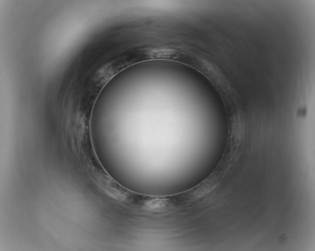 X0000112460761200908171203