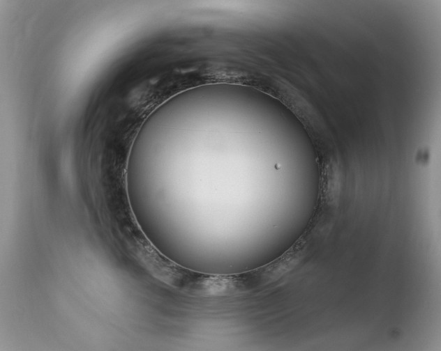 X0000112460762200908171203