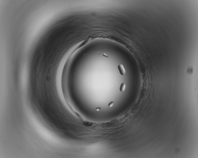 X0000112460764200908171203