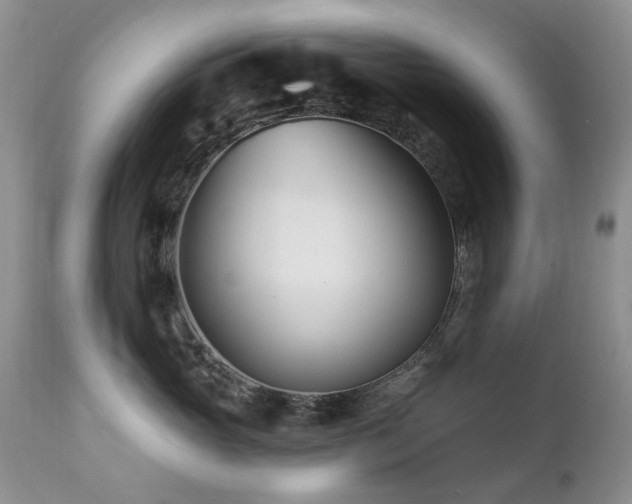 X0000112460765200908171203
