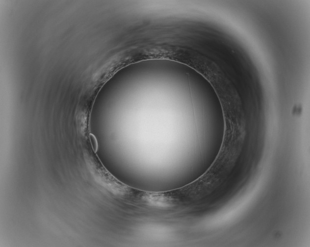 X0000112460767200908171203