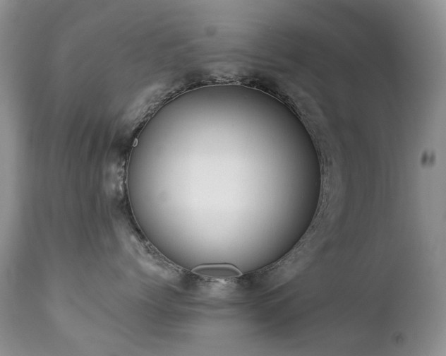 X0000112460768200908171203