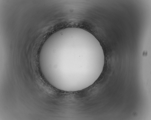 X0000112460769200908171202