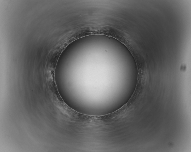 X0000112460770200908171202