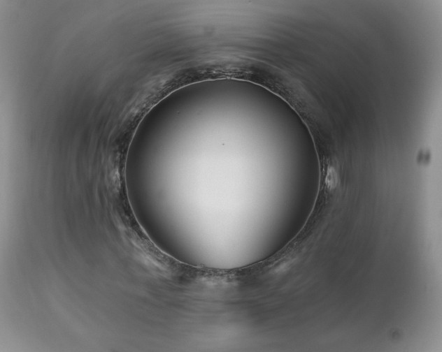 X0000112460771200908171202