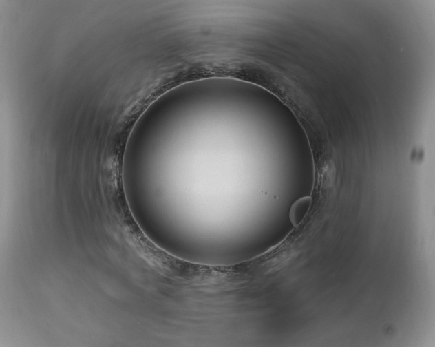X0000112460772200908171202