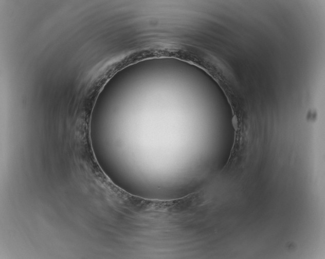 X0000112460773200908171202