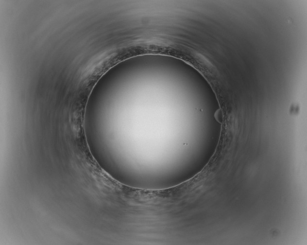 X0000112460774200908171202