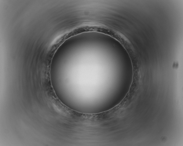 X0000112460775200908171202