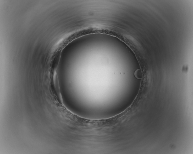 X0000112460776200908171202