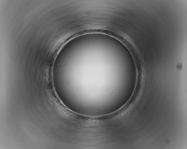 X0000112460777200908171202